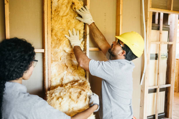 Best Fireproof Insulation  in Idalou, TX